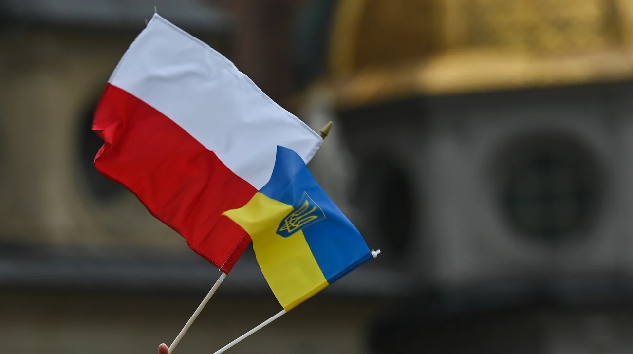 Опитування IBRiS: дві третини поляків підтримали ідею депортації українців без роботи